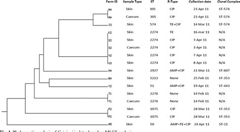 Figure From Comparison Of Multilocus Sequence Typing Mlst And