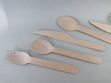 Natural Style Biodegradable Disposable Bamboo Wood Cutlery Fork Spoon