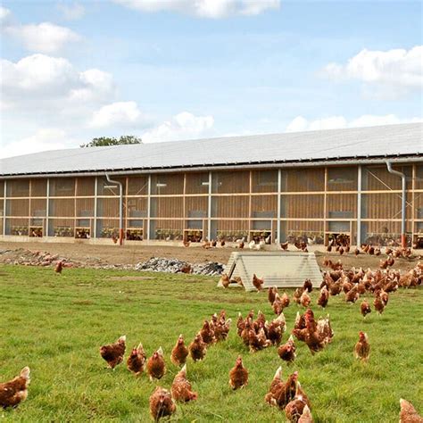 Cost Structure Of Poultry Farming