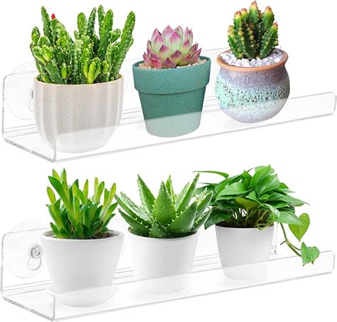 Amazon Skewo Pack Acrylic Window Boxes Plant Shelves Inch