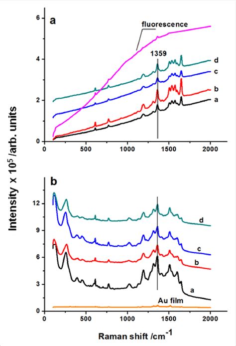 Raman Spectra Of A M Dried Solution Of Rhodamine R G Deposited On