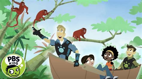 Wild Kratts Amazon Animals Pbs Kids Youtube