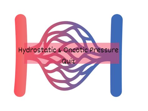 Fluid Movement Capillary Wall Quiz (Oncotic and Hydrostatic Pressure)