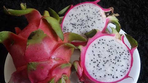 24 Interesting And Fascinating Facts About Dragon Fruit Tons Of Facts