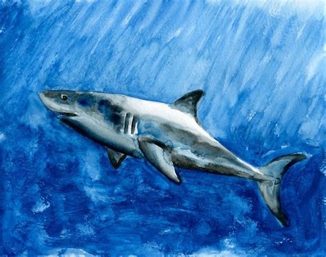 SHARK Original watercolor painting 10X8inch