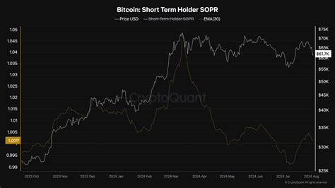 Analyse du prix du Bitcoin après un crash hebdomadaire de 10