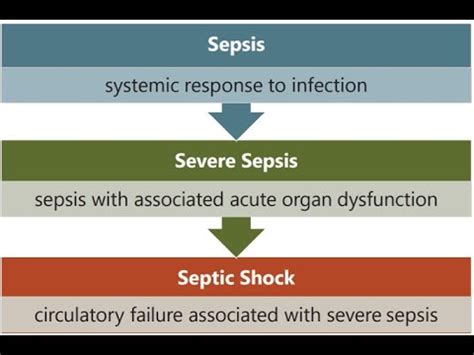 Sepsis SIRS Septic Shock ICD 10 CM Coding For CPC And CCS Exam YouTube