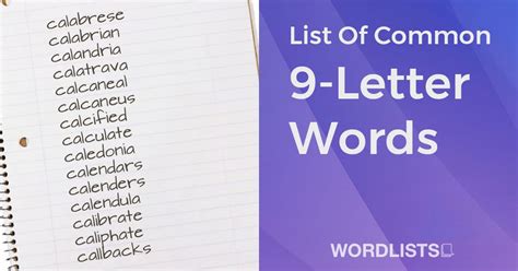 11 Letter Words With The Most Vowels List