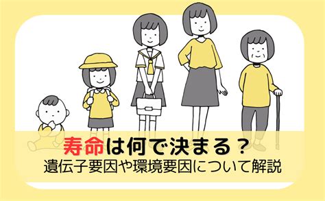 寿命は何で決まる？遺伝子要因や環境要因について解説 健康寿命ポータル