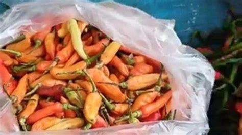 Harga Cabai Setan Meroket Di Lampung Selatan Kini Rp 60 Ribu Per Kg