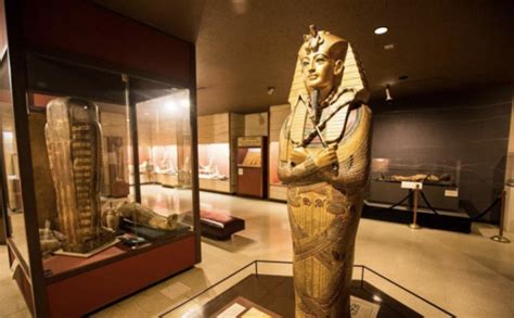Rosicrucian Egyptian Museum Educational Guide - Adept Expeditions