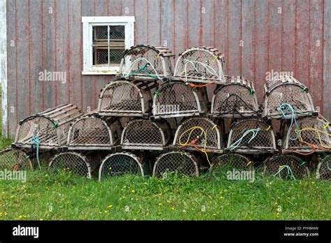 Lobster Traps Prince Edward Island Canada By James D Coppinger