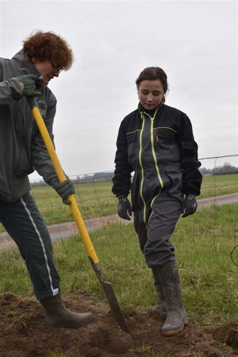 Plantation de haie bocagère avec le Campus Métiers Nature