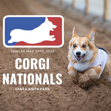 2023 CORGI NATIONALS - Dog Event