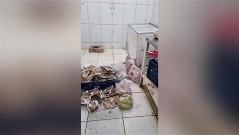 Fiscais Do Procon Encontram Quase 100 Kg De Carnes Podres Moscas E