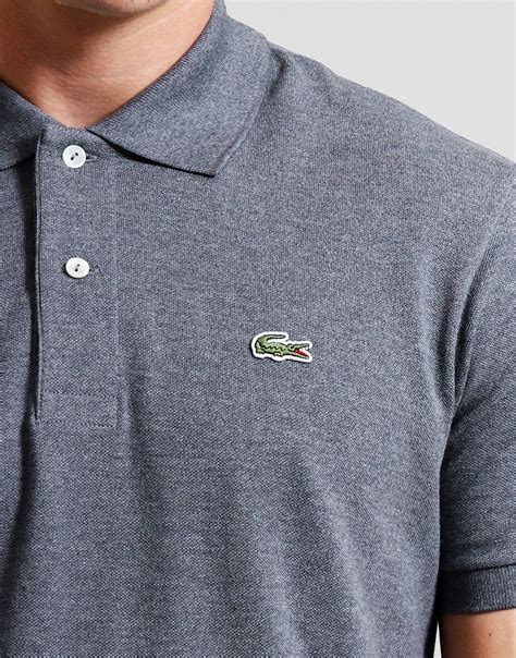 Lacoste Best Polo Shirt Pitch Terraces Menswear