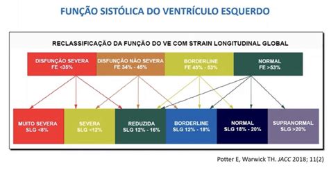 Aplica Es Pr Ticas Do Strain No Ventr Culo Esquerdo Blog Ecope