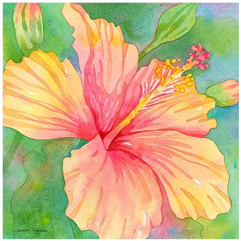 Thirstystone Hibiscus Garden Occasions Trivet Hibiscus Garden Flower