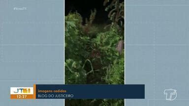 Jornal Tapajós 1ª Edição Corpo de mulher em estado de decomposição é