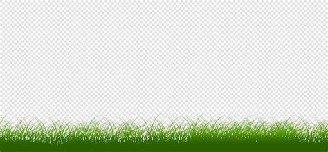 Premium Vector Green Grass Border Vector Pattern Spring Or Summer Plant Field Lawn Isolated On