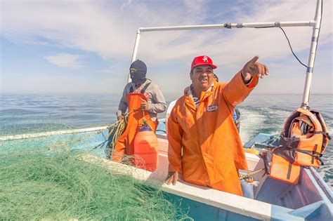 Anuncian La Convocatoria Para El Premio A La Pesca Y Acuacultura