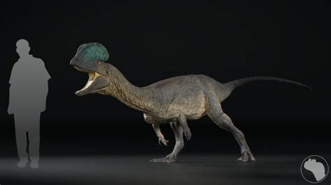 ArtStation - Dilophosaurus wetherilli, Jonathan Harris Prehistoric ...