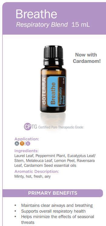 Doterra Breathe Respiratory Blend Uses Best Essential Oils