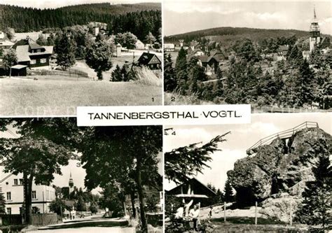 AK Ansichtskarte Tannenbergsthal Vogtland Jaegersgruen Klingenthaler