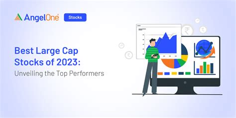 Best Performing Large Cap Stocks 2024 Sande Cordelia