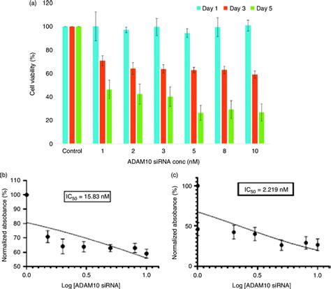 In Vitro Cytotoxicity Analysis Of Adam Sirna Loaded Nanoparticles