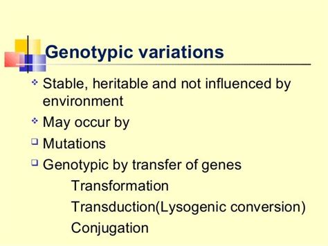 Bacterial Genetics