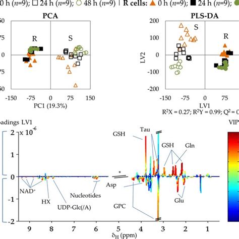 Multivariate Analysis Of Spectra Of Aqueous Extracts From Mda Mb