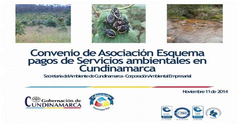 Esquema Pago Por Servicios Ambientales PDF Document