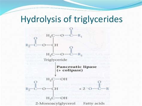 Pancreatic lipase ppt