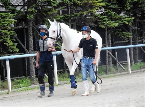 白毛の桜花賞馬ソダシが函館に入厩競馬・レースデイリースポーツ Online