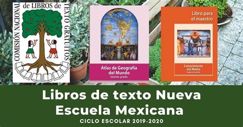 Conoce Los Mejores Libros De Texto Para Sexto Grado De La Nueva Escuela Mexicana