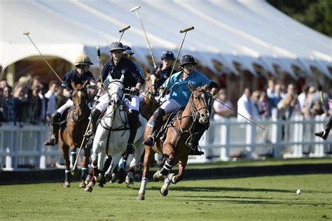 polo alchetron   social encyclopedia