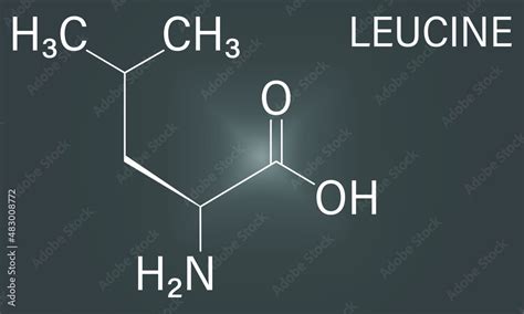 Leucine Or L Leucine Leu L Amino Acid Molecule Skeletal Formula