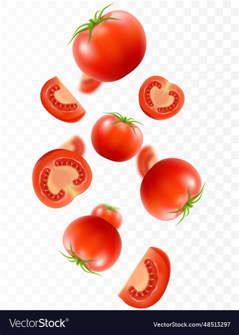 Tomato Background Falling Fresh Ripe Tomatoes Vector Image