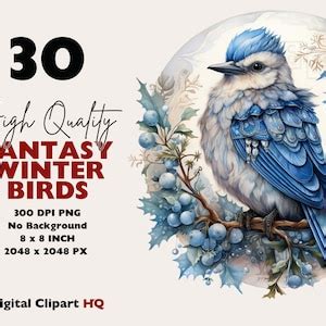 Blue Winter Birds Clipart Bundle Fantasy Birds Watercolor Christmas