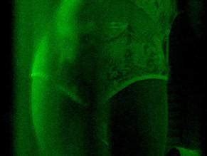 INGRID RAINES Nude AZNude