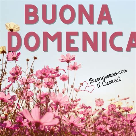 Immagini Buona Domenica Invernale Nuove Fiori E Paesaggi Dicembre