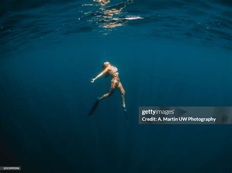 Free Diving High Res Stock Photo Getty Images