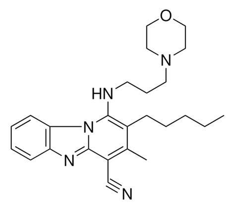 3 METHYL 1 3 4 MORPHOLINYL PROPYL AMINO 2 PENTYLPYRIDO 1 2 A