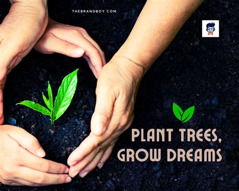 872+ Catchy Tree Plantation Slogans and Sayings (Generator + Guide ...