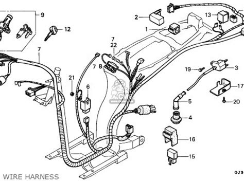 Honda Scoopy 50cc Wiring Diagram Wiring Diagram And Schematics