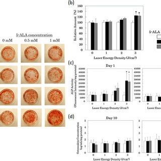 Low Dose Pdt Induces Osteoblast Differentiation In Rat Primary