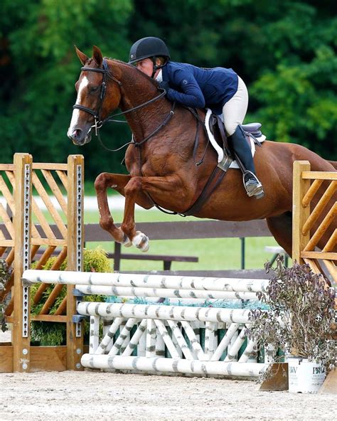 All Equestrian All Equestrian Hunterjumpers
