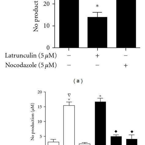 Effect Of Latrunculin And Nocodazole On The Interaction Of Leishmania