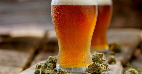 Wait What Worlds First Cannabis Beer Is Brewed By A Canadian